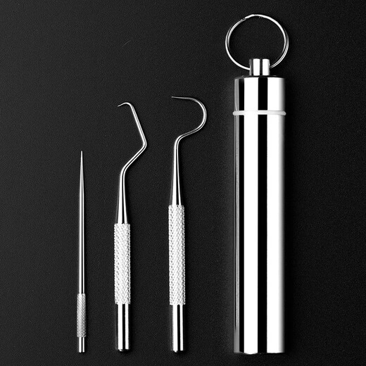 Meet the Beauty Stainless Steel Toothpick Metal Teeth Picking Calculus Remover Portable Oral Teeth Cleaning Set Tool