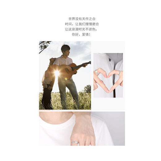 MZMZ platinum couple ring pt950 platinum closed men's ring frosted tail ring Double Eleven birthday gift for girlfriend, light luxury model - time-worn ring (remarks)