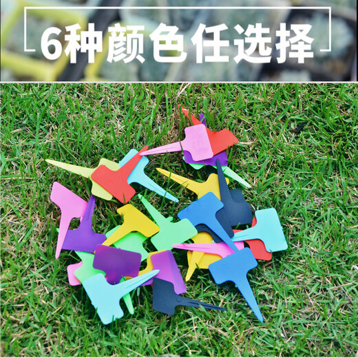 西普顿园艺多肉标签牌园艺植物花名花盆塑料标签防水小插牌多肉盆栽标签 深绿色200张送防水笔