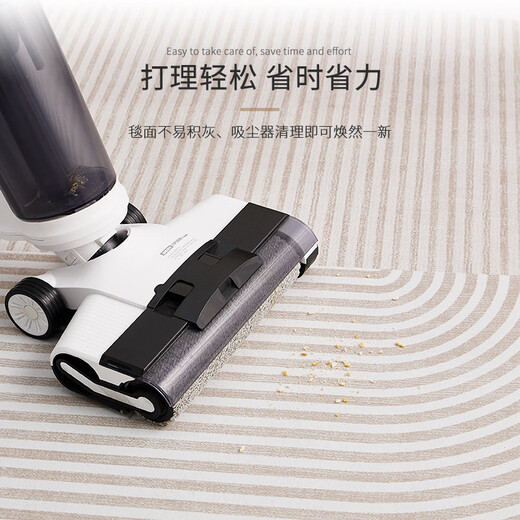 Gudie wabi-sabi style carpet living room light luxury sofa coffee table blanket cream Japanese-style bedroom bedside no-wash and wipeable wabi-sabi line-5T 200 300cm no-wash and wipeable same material