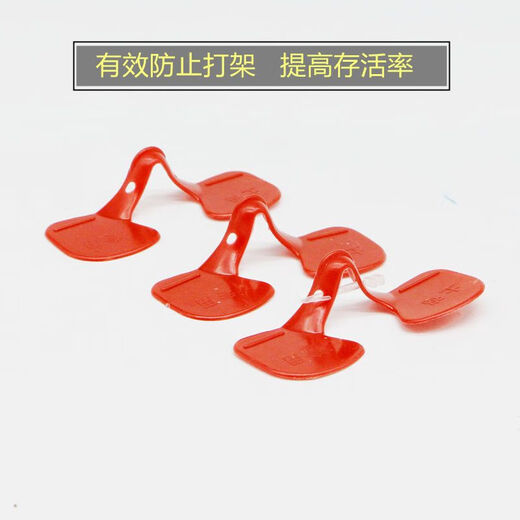 Vulgare rooster glasses, native chicken anti-pecking eye mask, chicken glasses, large, medium and small size with holes for chicken glasses, chicken raising equipment and supplies, large chicken glasses (suitable for chickens of 4.5 Jin Jin equal to 0.5 kg or more) 5 pcs