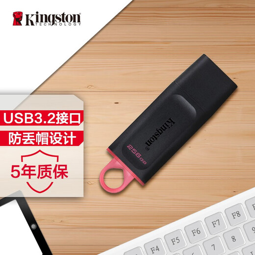 金士顿（Kingston）256GB USB3.2 Gen 1 U盘 DTX 大容量U盘 时尚设计 轻巧便携 学习办公投标电脑车载通用