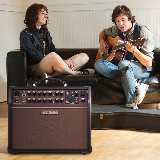 Roland Boss speaker ACS LIVE LT electric box acoustic guitar folk piano singing vocal effect audio ACS LIVE LT 60W + Shure 58S + gift package