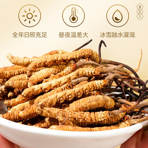 雷允上野生冬虫夏草5根/g 10g约50根那曲虫草礼盒送父母长辈礼物