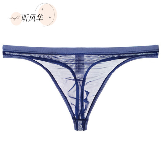 Mikeshan Men's Nude Transparent T-Pants Thin Mesh Sexy Underwear Sexy 1 Fun Temptation 1 Tempting Breathable Men's Youth T-Pants wy 2XL