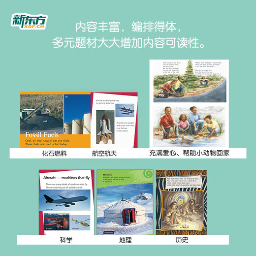 新东方官方旗舰店 PM彩虹英语分级阅读儿童英语绘本1-9级全套 单本可选 美国圣智原版童书3-12岁少儿启蒙英语绘本一体化英语阅读解决方案 科学分级 点读版 PM彩虹英语9级（6年级适用）