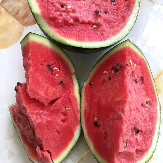 Zhongke Maohua Fruit and Vegetable Seeds Zhongke Sweet King Watermelon Seeds Angfei Legend Sweet King Hybrid High Round Sweet King Big Red Flesh Zhongke Sweet King 100g/box