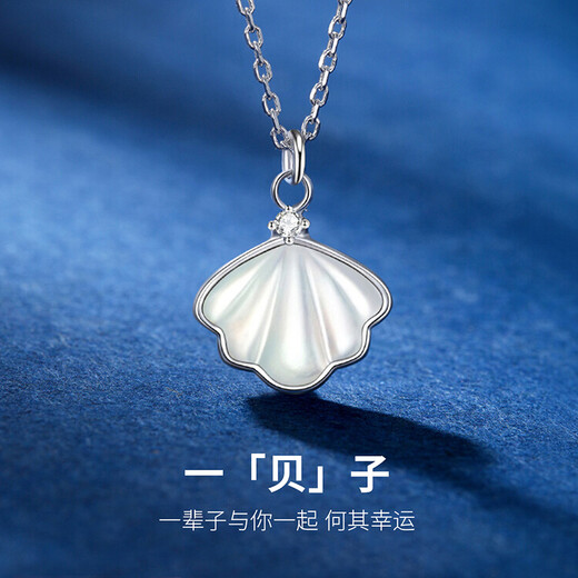 VIGG Yibeizi Silver Necklace Women's Collarbone Chain Valentine's Day Birthday Gift Confession Anniversary Gift for Girlfriend and Wife Jewelry Yibeizi Necklace (White) Ten Warehouse Delivery