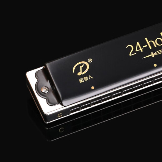 Swan Dream Chaser 2409 German imported gong polyphonic harmonica 24-hole professional performance for advanced beginners 24-hole #F-tune [black] polyphonic + full set of gifts