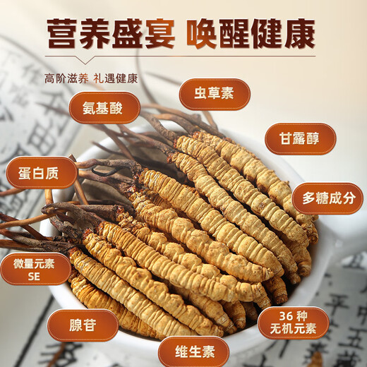 Boîte-cadeau Weishihong Cordyceps 4 bâtons / g (7,5 g) 30 bâtons pour la fête des pères pour envoyer des parents et des anciens pour rencontrer l'entreprise haut de gamme de leurs parents