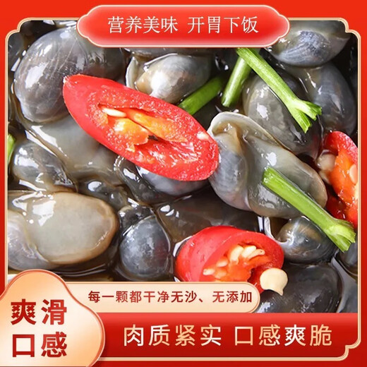 Wenzhou specialty garlic-flavored drunken mud snails, raw pickled yellow mud snails, fresh pickled without sand, 500g ready to eat, canned, garlic-flavored mud snails 500g/bottle, 1 bottle