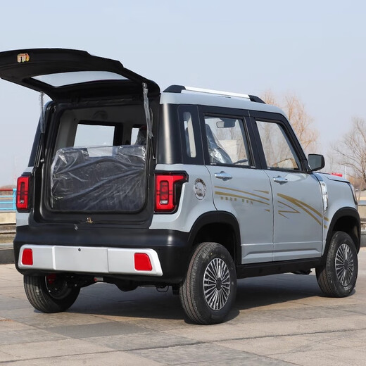 Jinliangpeng four-wheel electric vehicle household mobility scooter new energy adult ladies low-speed small mobility vehicle petrol-electric vehicle a pair of exclusive license plates for customers who have purchased a car