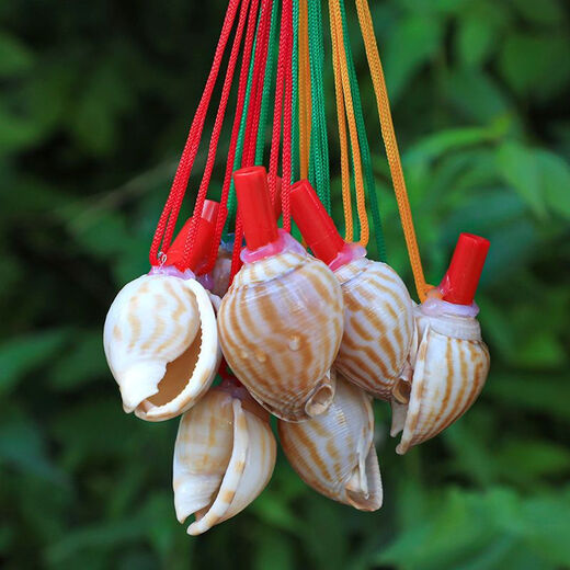 Aseblarm [4] Natural conch horn can blow trumpet Children's toys Conch shell crafts shell whistle Conch horn (4 random models) 5-10 cm