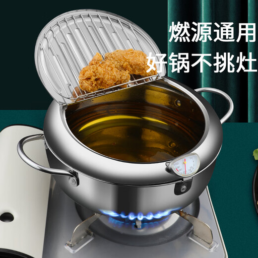Japanese tempura fryer household small fryer with lid deep fried chicken potato provincial frying oven gas gas 1cm 20cm 2 points 2L natural silver trumpet + 04 filter oil