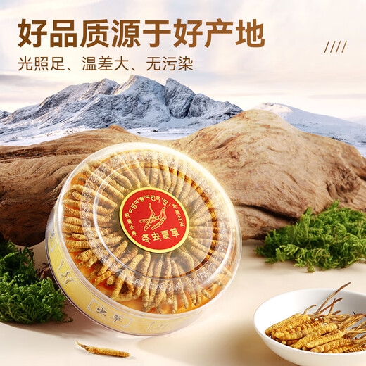 Sejila Cordyceps sinensis 3 Wurzeln/G 10 Gramm 30 Wurzelgeschenke für Älteste und Ernährungsergänzungsmittel für ältere Menschen Cordyceps Nourishment Gift Box