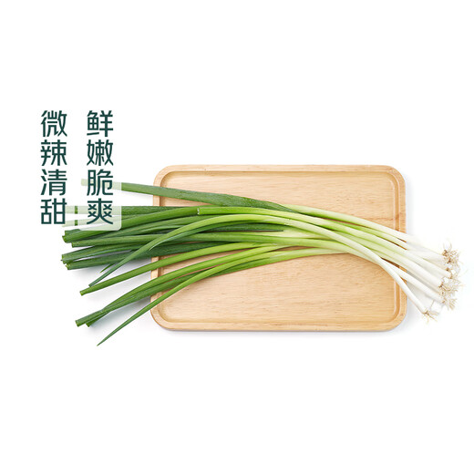100g green onions with dipping sauce