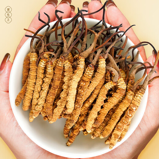 4 Wild Cordyceps Sinensis на lei Yunshang/g 30g Около 120 Cordyceps Sinensis Gif