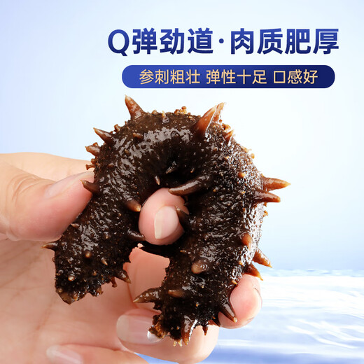 Gongyi Dalian ready-to-eat sea cucumber 1Jin Jin is equal to 0.5 kg 15-25 pieces, solid content exceeds 75%, bottom-sown sea cucumber, fresh sea cucumber, no need to soak