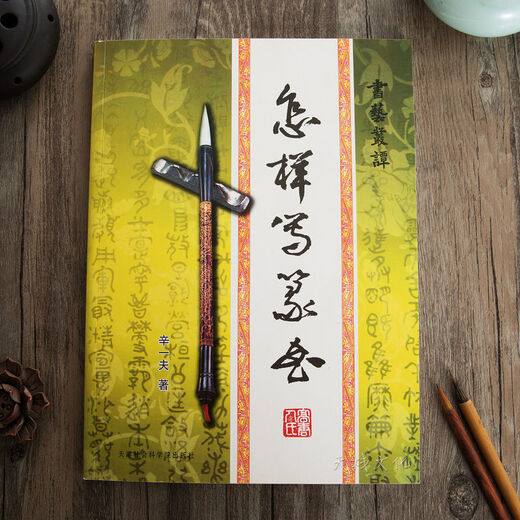 怎样写篆书甲骨文金文技法集唐诗章法入门毛笔书法练字帖临摹字典 精装篆书字典795页
