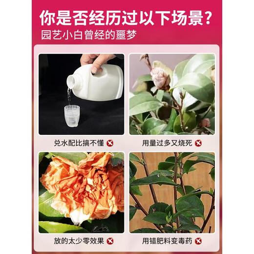 Camellia fertilizer special fertilizer non-dilution nutrient solution camellia jasmine gardenia azalea acid-loving plant potted home Camellia non-dilution nutrient solution 500ml*1 bottle