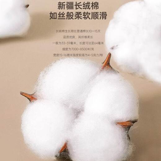 浪莎秋衣秋裤男士纯棉套装圆领棉毛衫5A抑菌防螨薄款打底保暖内衣