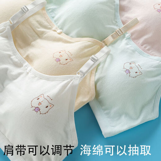 Girls de sixième année Sous-vêtements Junior High School Underwear Growth Growth Étudiants 9-12-14-16 ans Junior School Students Students High School Students High School Students Small Vest Bras 829 (blanc + Pink + Skin + Blue) One Taille (12-18 ans)