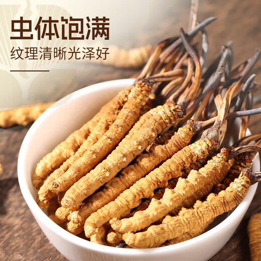Yuanjiang grass Cordyceps sinensis high-altitude new dried cordyceps gift box delivery to leaders and elders 3 pieces/g 5 grams [source warming and supplement]