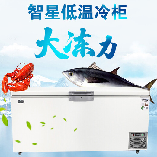 智星（ZX）超低温冰柜小型零下60度速冻金枪鱼海鲜商用科研工业实验室大容量卧式家用冰箱干冰保存冷柜 DW-695(-65度）