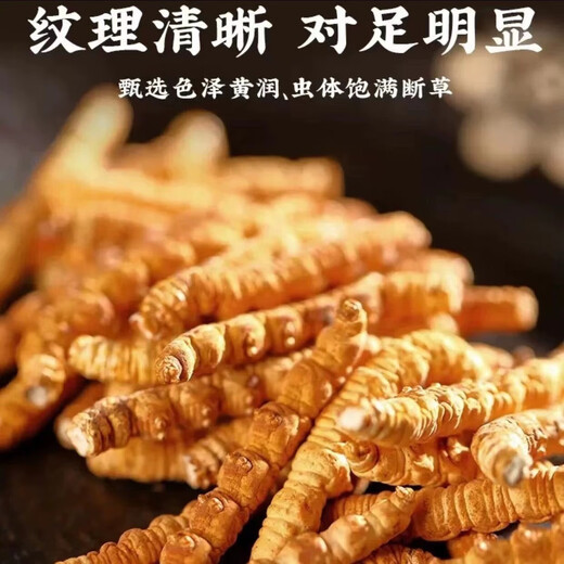Tibet's straight-fast Nagqu high-altitude Cordyceps sinensis broken grass newly dried Cordyceps selected large cuts for self-use affordable gift box Selected high-altitude large cuts for 1 gram [Trial package]