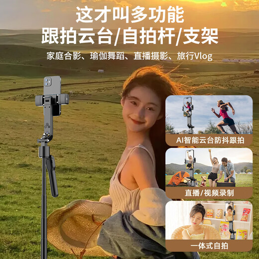逗映（FUNSNAP）A8新款金属多功能补光自拍杆金属四脚架蓝牙遥控拍照神器手机直播支架防抖音360苹果小米华为通用 AI智人脸能跟拍【双灯款】