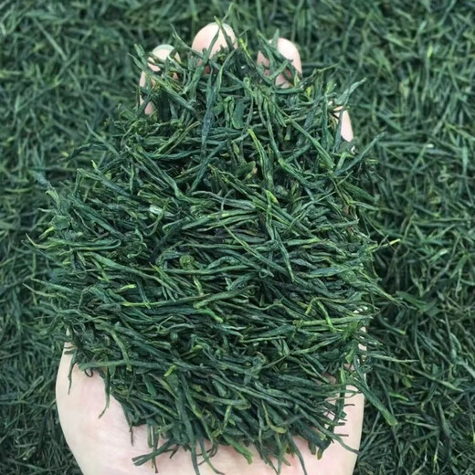 Ganxiangpo 2024 new tea Yuqian tea Maojian tea Dawu Dabie mountain tea Xiaogan Huanggang Macheng Hong'an Yunwu straight strip Maojian 1000g Yuqian bud Maojian teahouse pack