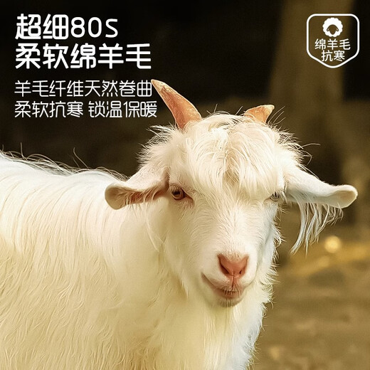 雪中飞【秋上新】保暖内衣女套装羊毛蚕丝秋衣裤无痕加绒加厚打底衫冬