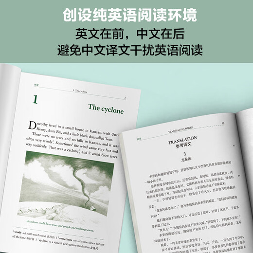 书虫升级版一级全套 初一初二 牛津英汉双语读物（套装共33册 附扫码音频、习题答案、读后测评）绿野仙踪 阿拉丁和神灯 汤姆索亚历险记 悲惨世界 小公主 福尔摩斯