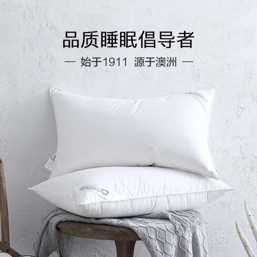 Downia pillow core Ritz-Carlton five-star hotel down pillow 90% white goose down luxury pillow core 74*48CM