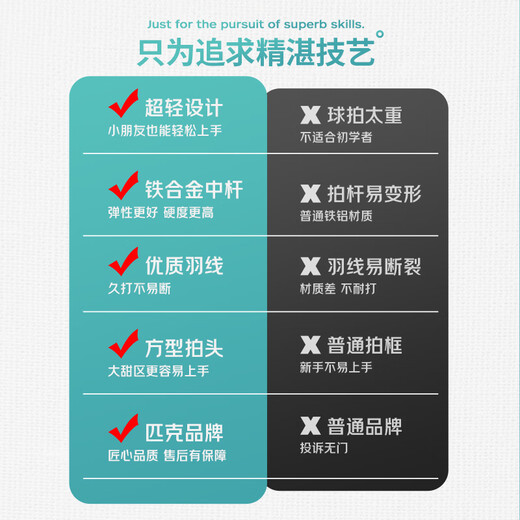 匹克 羽毛球拍对拍耐打成人学生套装训练比赛拍FT-J88 天堂粉/天使蓝