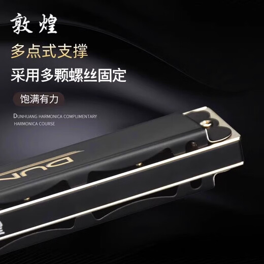 Oriental Ding Dunhuang 24-hole monophonic harmonica 12-tune beginner adult single hole single row professional playing harmonica matte black C-tune