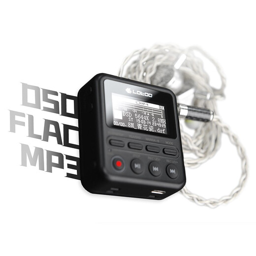 Lotoo PAW 1-64G professional recorder interview conference lawyer learning special recorder DSD portable HiFi player MP3 PAW 1 (64G) standard without external microphone