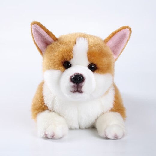 Komet Corgi dog plush toy doll doll ornaments pillow New Year's gift Valentine's Day birthday gift for children