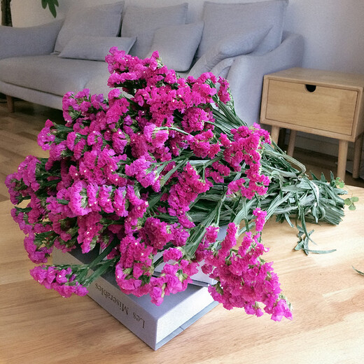 AIMAN Yunnan Ramo de flores secas de estilo natural Nomeolvides Adornos decorativos de flores reales Sala de estar Arreglos florales pequeños y grandes Jin Jin es igual a 0,5 kg, se vende como regalo, nomeolvides rojo rosa, 50 piezas en total, ramas semisecas