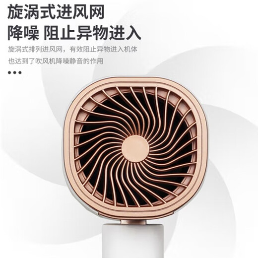 Yongri 6629 negative ion hair care internet celebrity model 1800W home high wind power hair dryer travel portable folding hair dryer hot and cold air quick-drying hair dryer elegant white