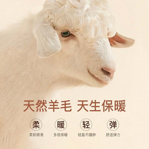 杉杉【羊毛加厚】西服男春秋新款商务休闲上衣垂感易打理西装外套男 灰格 48 175/92A