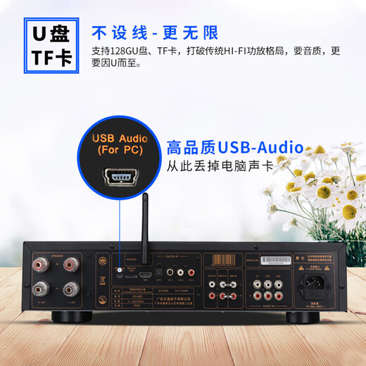 天逸（Winner）AD-66DPRO超甲类合并一体机数字功放机大功率发烧级家用高保真hifi功放音响套装 AD-66DPRO+达尼博睿3