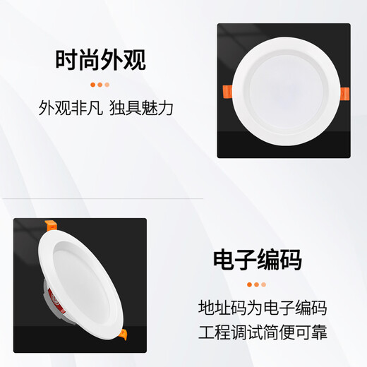 Tanda Taihe An embedded top evacuation emergency lighting 6624A current collecting fire control light 6624AG TS-ZFJC-E5W-6624AG