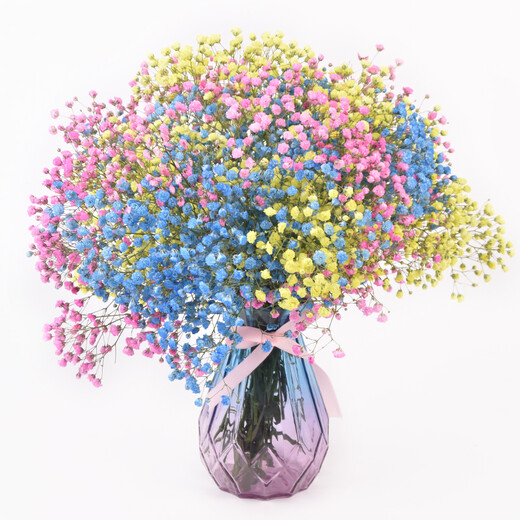 AIMAN Gypsophila Natural Dried Flower Bouquet Ins Internet Celebrity Birthday New House Decorative Ornaments Air-Dried Real Flower Arrangements Home Furnishings Yellow + Pink + Sapphire Blue Gypsophila Without Vase