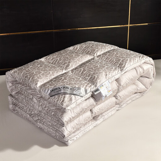 Stanmetz Down Quilt [95% White Goosevelt] Winter Quilt Spring and Autumn Quilt Winter Five-star Goosevelt Quilt Core Thickened to Keep Warm Silk Down Quilt (Gray) 200*230cm (6.5 Jin [Jin equals 0.5 kg])