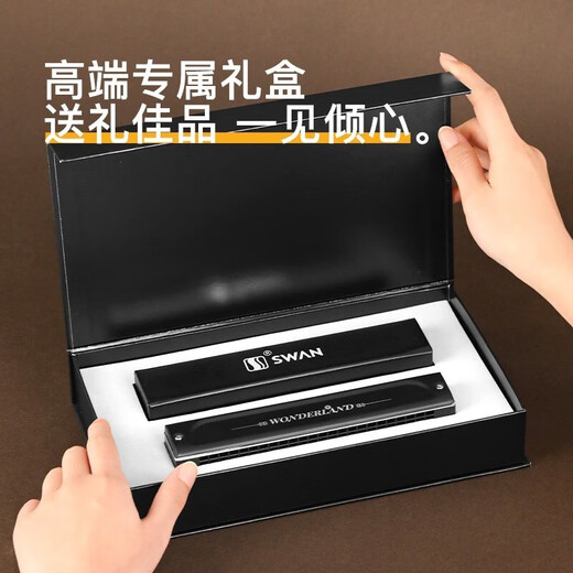 Swan (SWAN) imported German gong Swan harmonica polyphonic accent high-end beginners for men and women professional performance-level gifts for men and women 28 holes accent C tune [Professional performance-level]