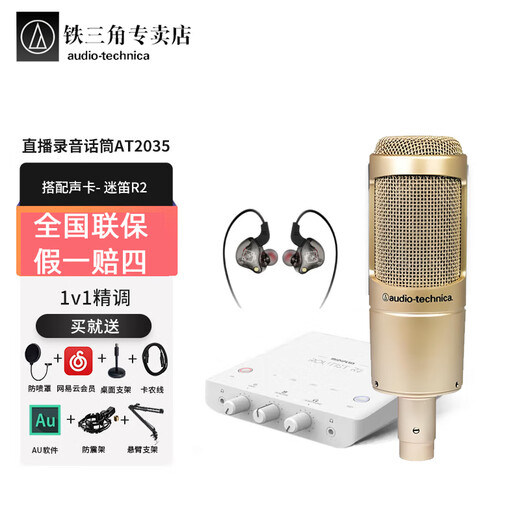 Audio-Technica AT2035 professional condenser microphone, computer live broadcast of karaoke, dubbing, audio book, voice hall professional recording microphone AT2035+Midi R2, free 1v1 tuning