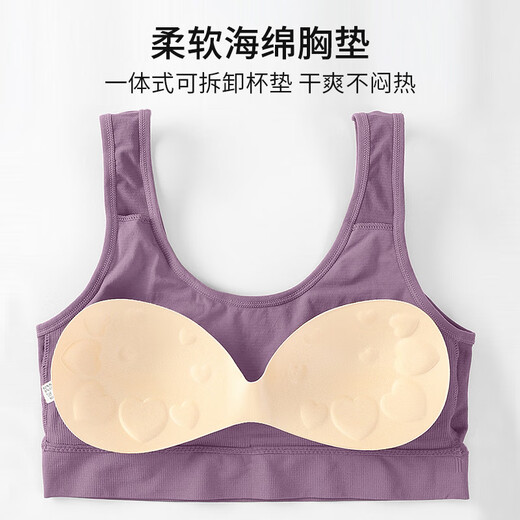 Langsha Lady's fat-wrapped breasts, wide shoulders, seamless chest pads, vests, beautiful back base, single-size middle-aged and elderly large-size bra, blue, suitable for weight 100-180 Jin [Jin equals 0.5 kg]
