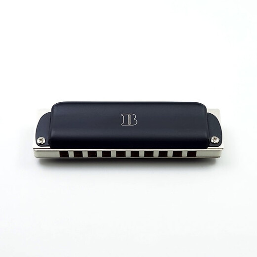 Boogieman Blues Deluxe zehn Löcher Blues 10 Löcher Anfänger Harmonica C -Melodie [Black Metal Grid]