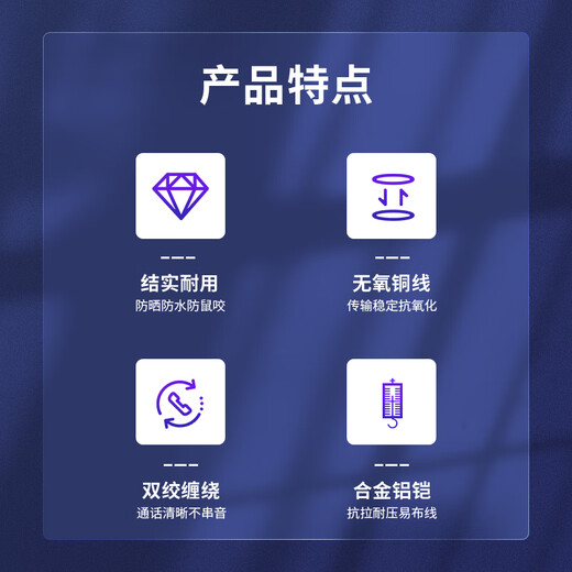 中科光电 室外重铠大对数通信线缆 电话语音大对数电缆 5对ZK-HYA53-5*2*0.5- 1米